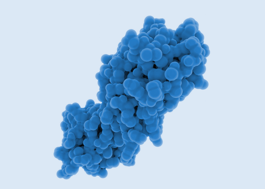 3CL Protease Inhibitors: In Vitro Data for Tollovid®